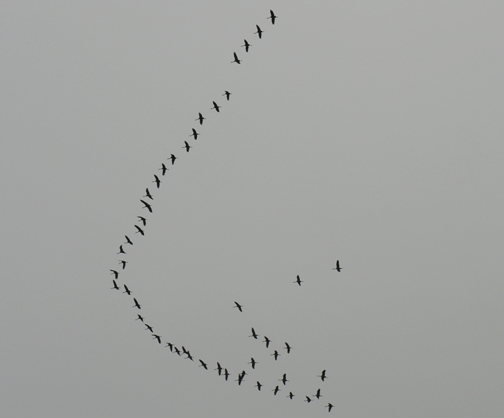 Formazione aerea